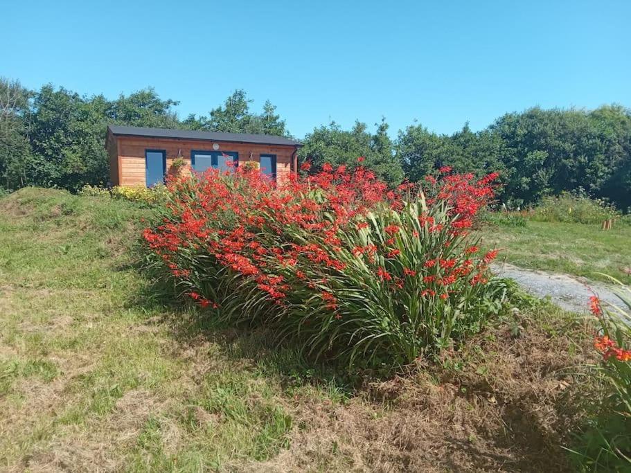 Ceaser'S Cabin Is A Cosy 1 Bedroom Cabin اهينتش المظهر الخارجي الصورة